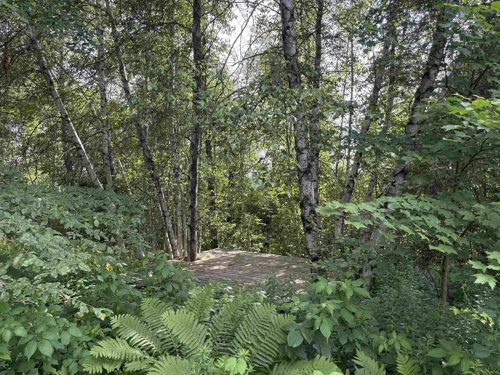 490 Delorm Road Leicester VT 05733