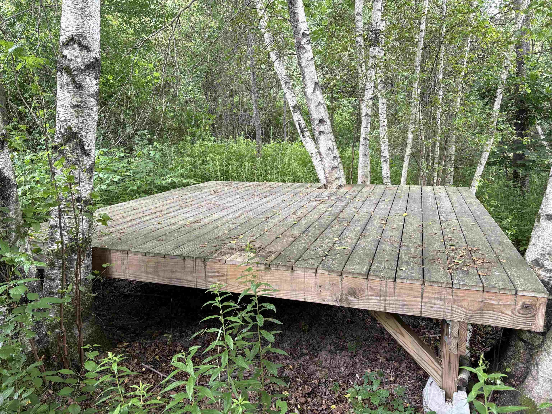 490 Delorm Road Leicester VT 05733