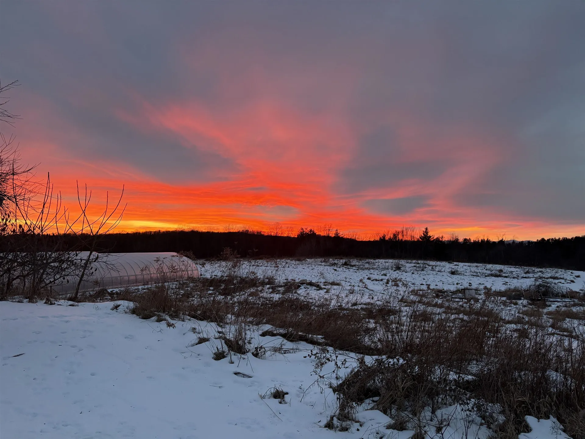 490 Delorm Road Leicester VT 05733