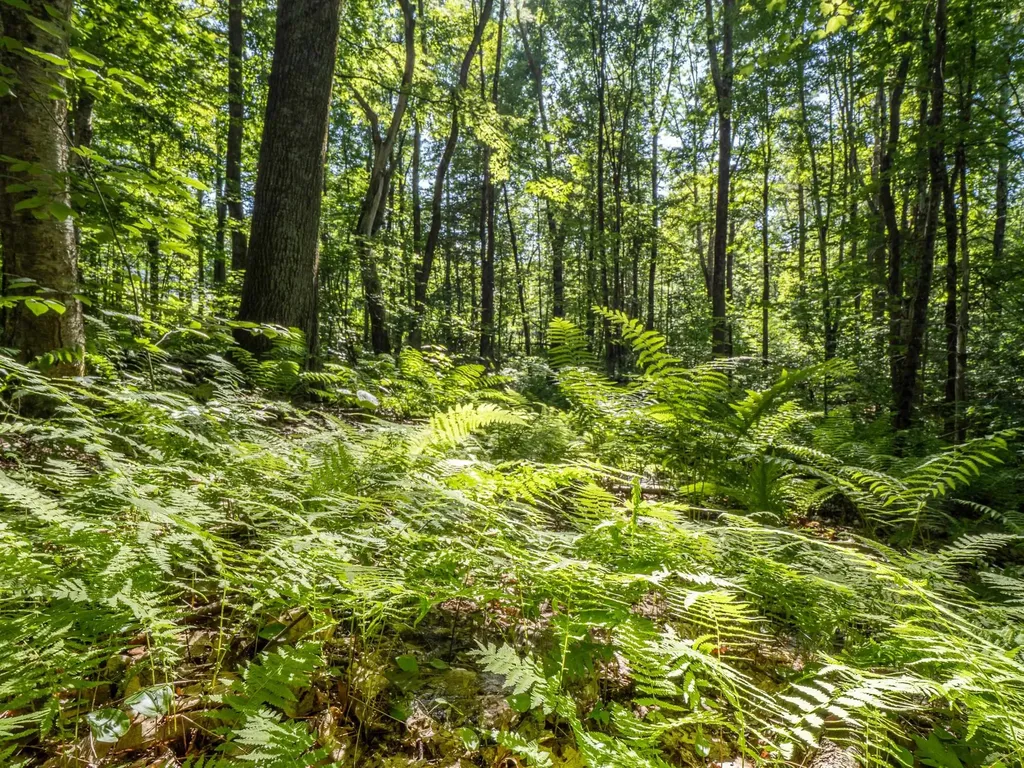 150 Garron Road Middletown Springs VT 05757