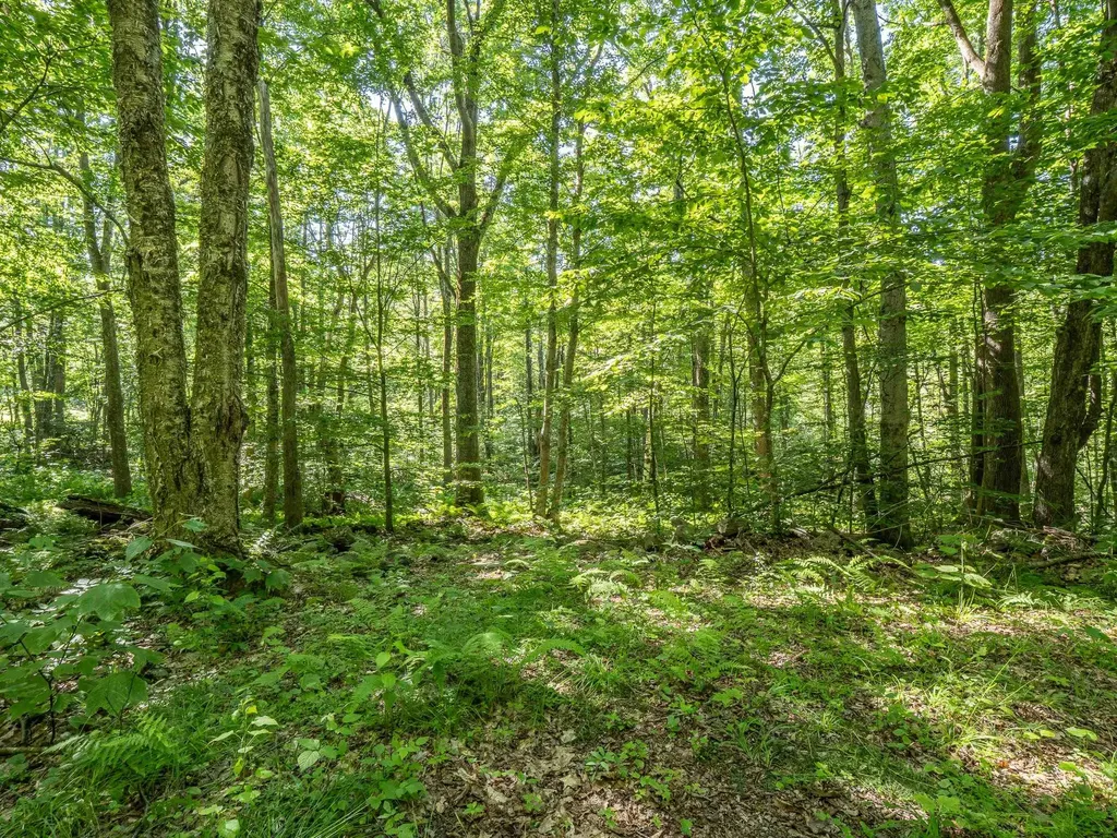 150 Garron Road Middletown Springs VT 05757