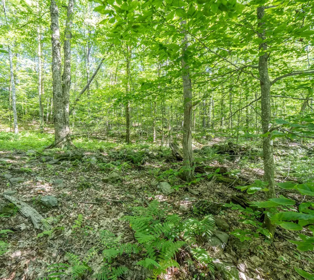 150 Garron Road Middletown Springs VT 05757