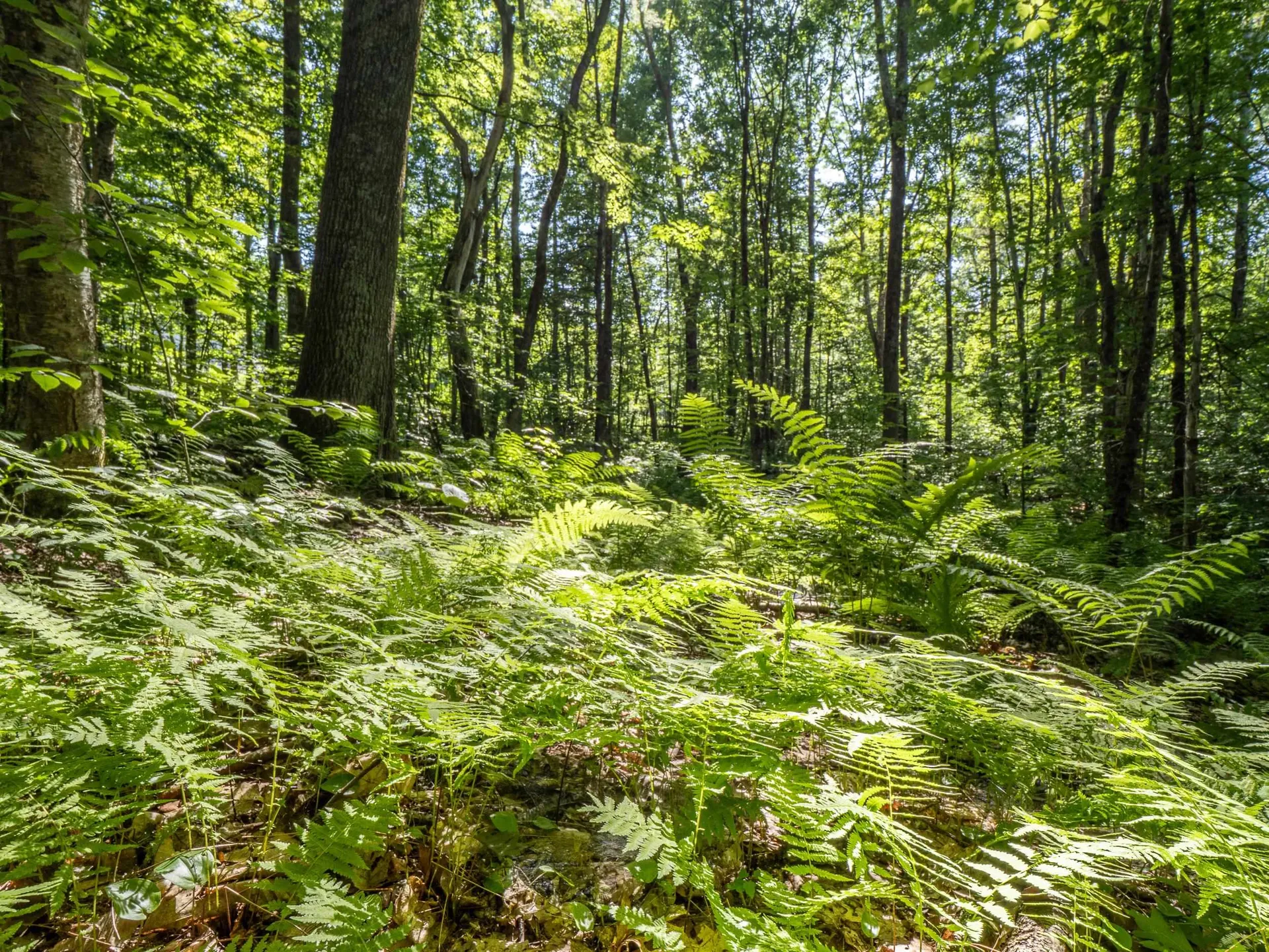 150 Garron Road Middletown Springs VT 05757