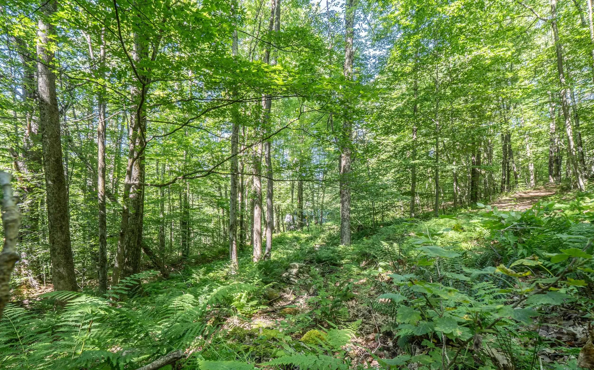 150 Garron Road Middletown Springs VT 05757