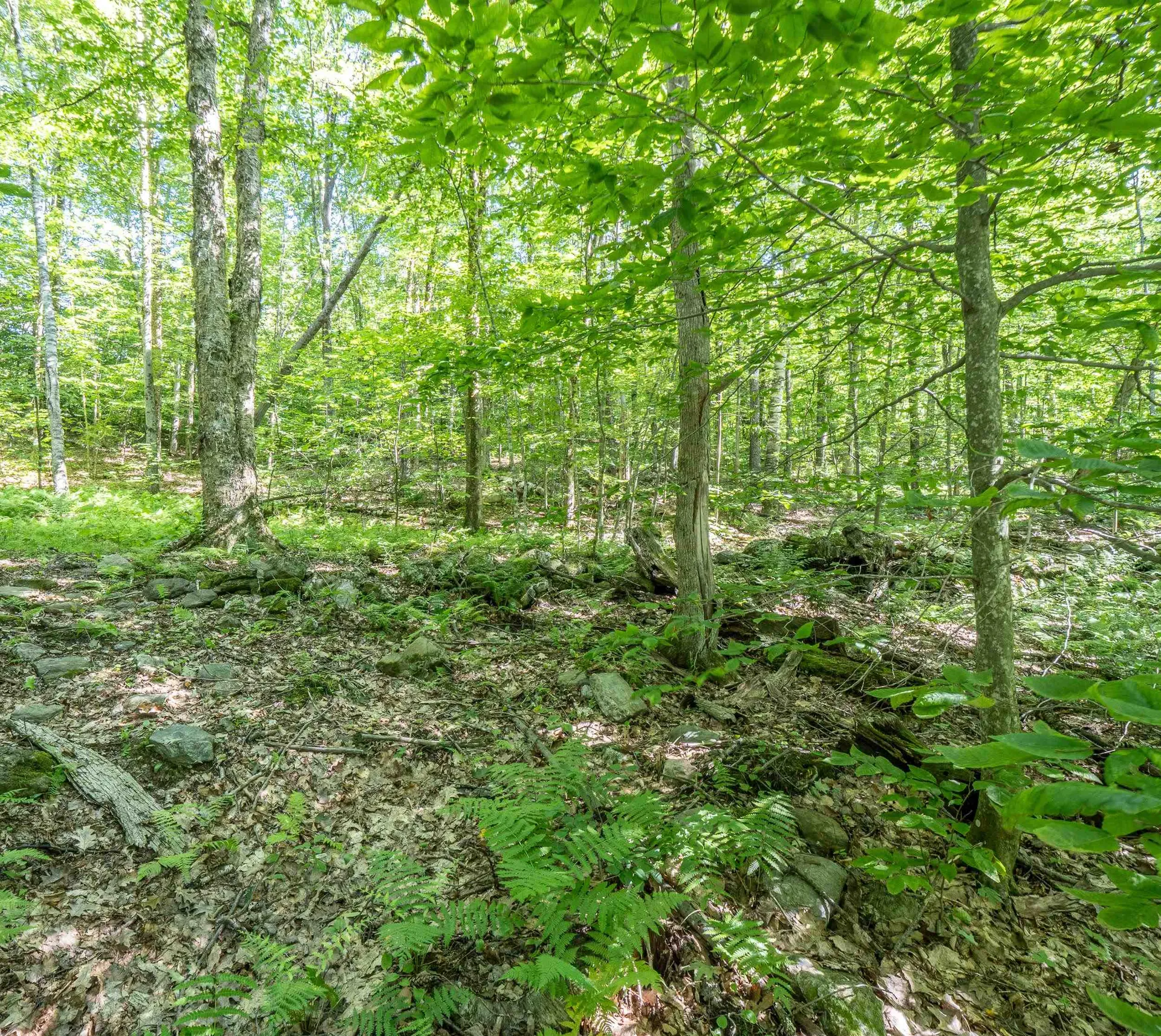 150 Garron Road Middletown Springs VT 05757