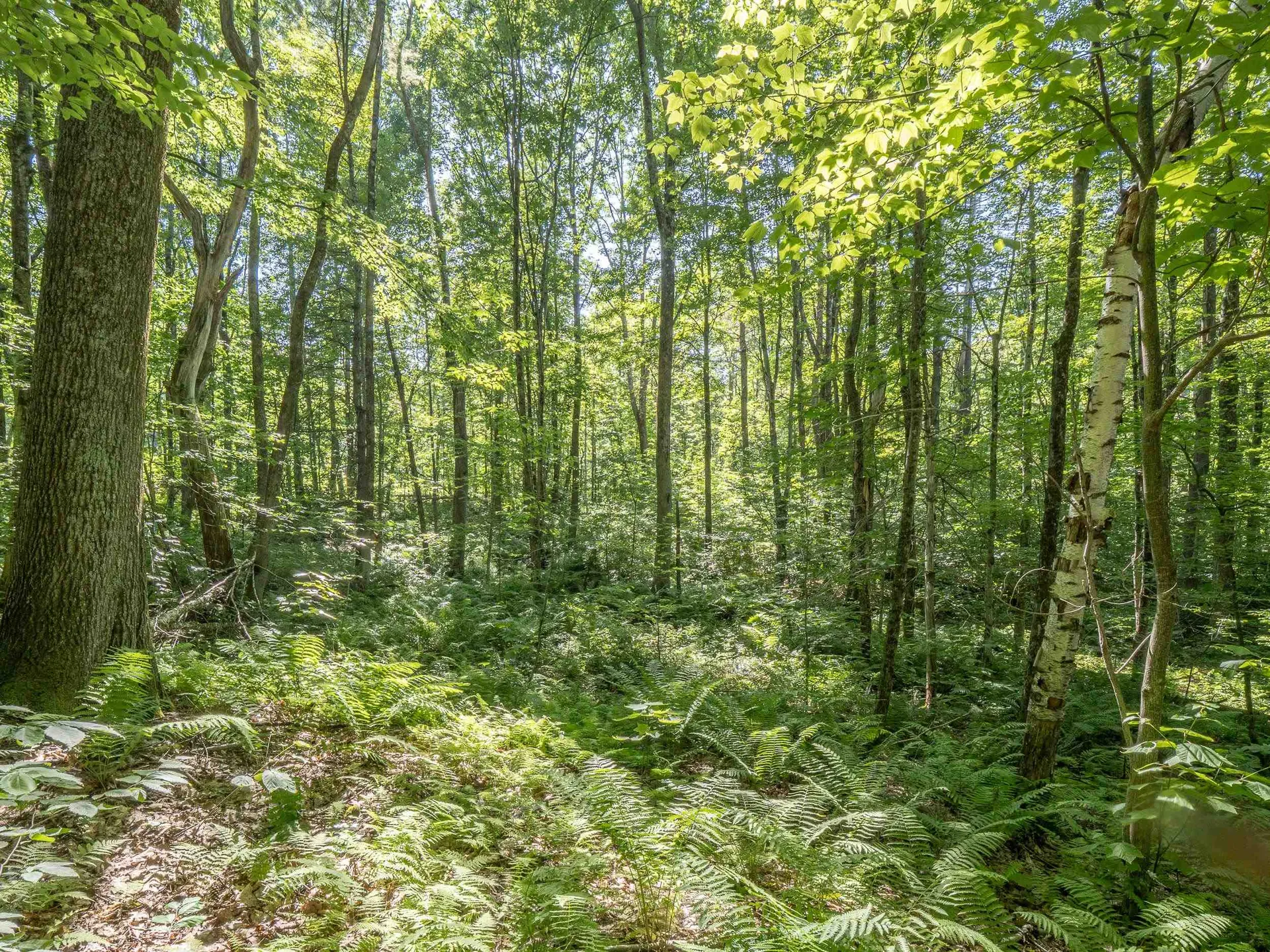 150 Garron Road Middletown Springs VT 05757