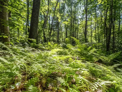 150 Garron Road Middletown Springs VT 05757