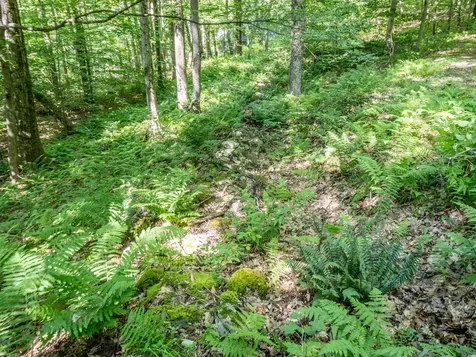 150 Garron Road Middletown Springs VT 05757