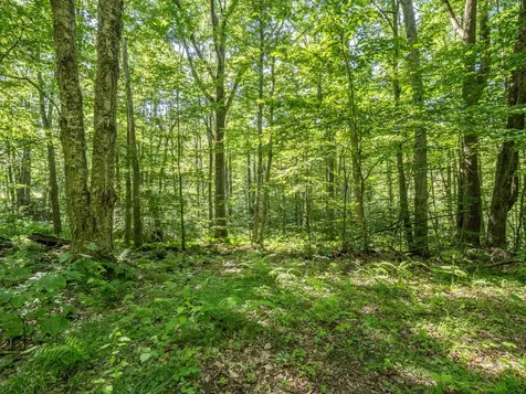 150 Garron Road Middletown Springs VT 05757