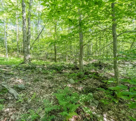 150 Garron Road Middletown Springs VT 05757