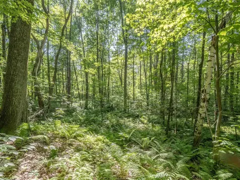 150 Garron Road Middletown Springs VT 05757