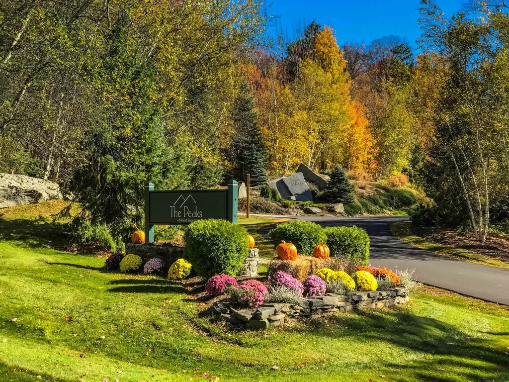 71 Overlook Drive Dover VT 05356