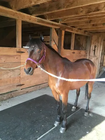 797 Golf Links Road Colebrook NH 03576