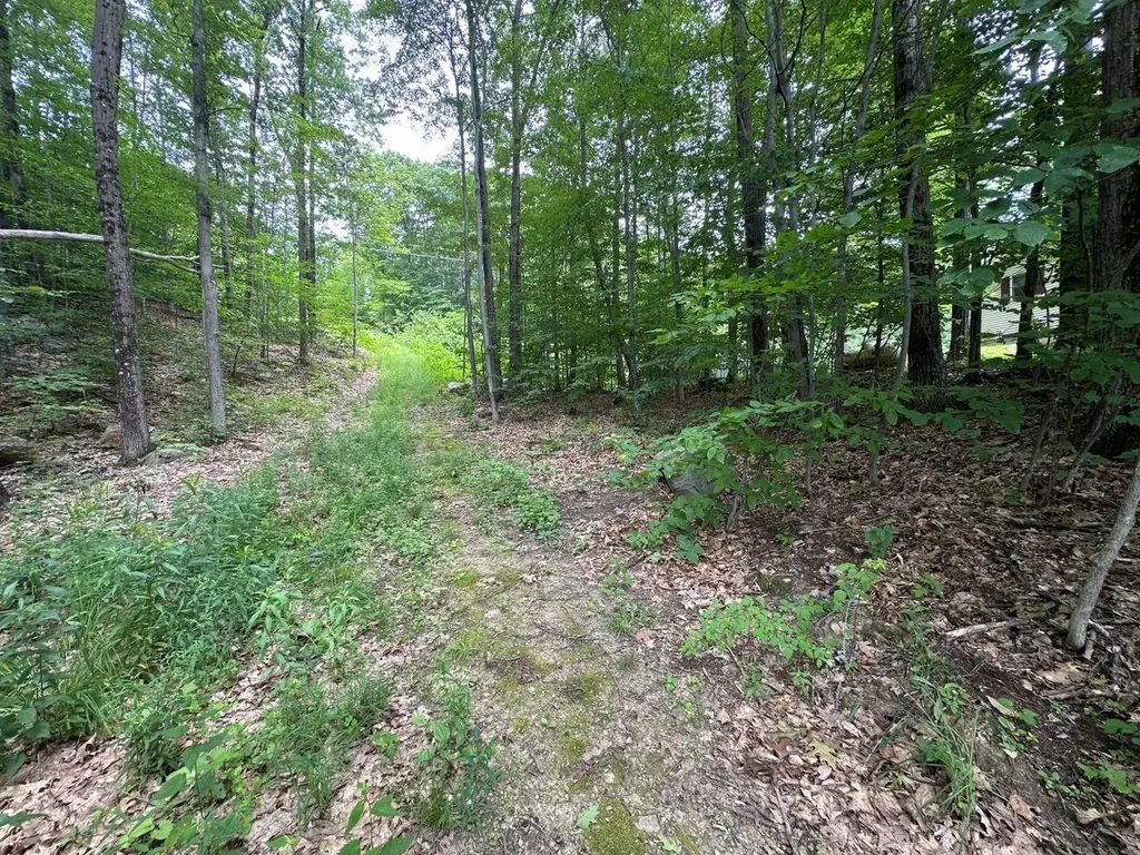 0 Shepherd Lane Rutland City VT 05701