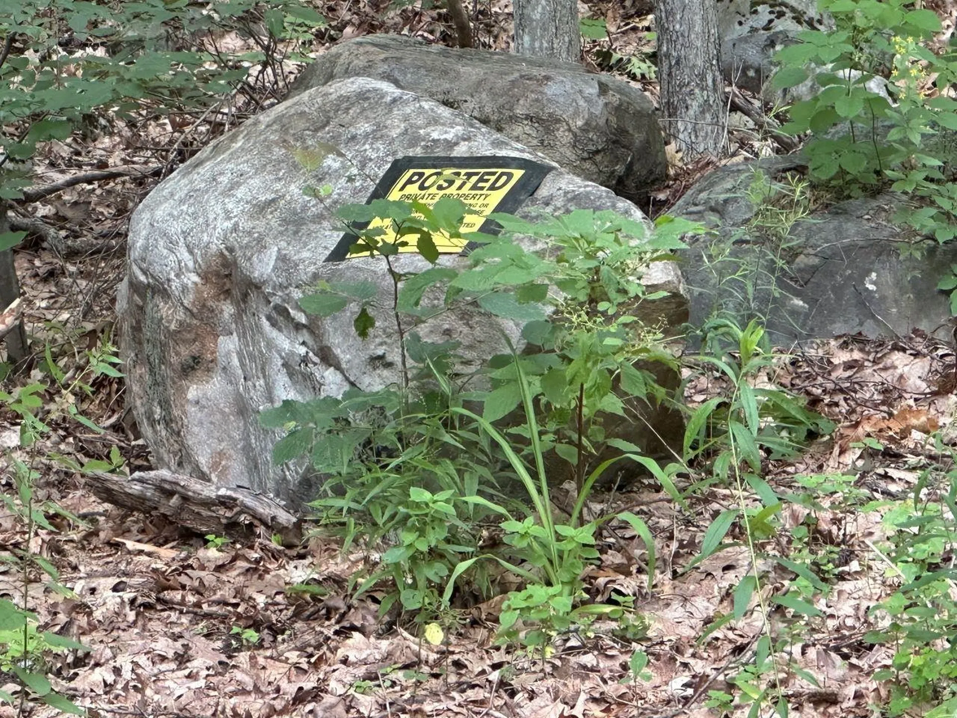 0 Shepherd Lane Rutland City VT 05701