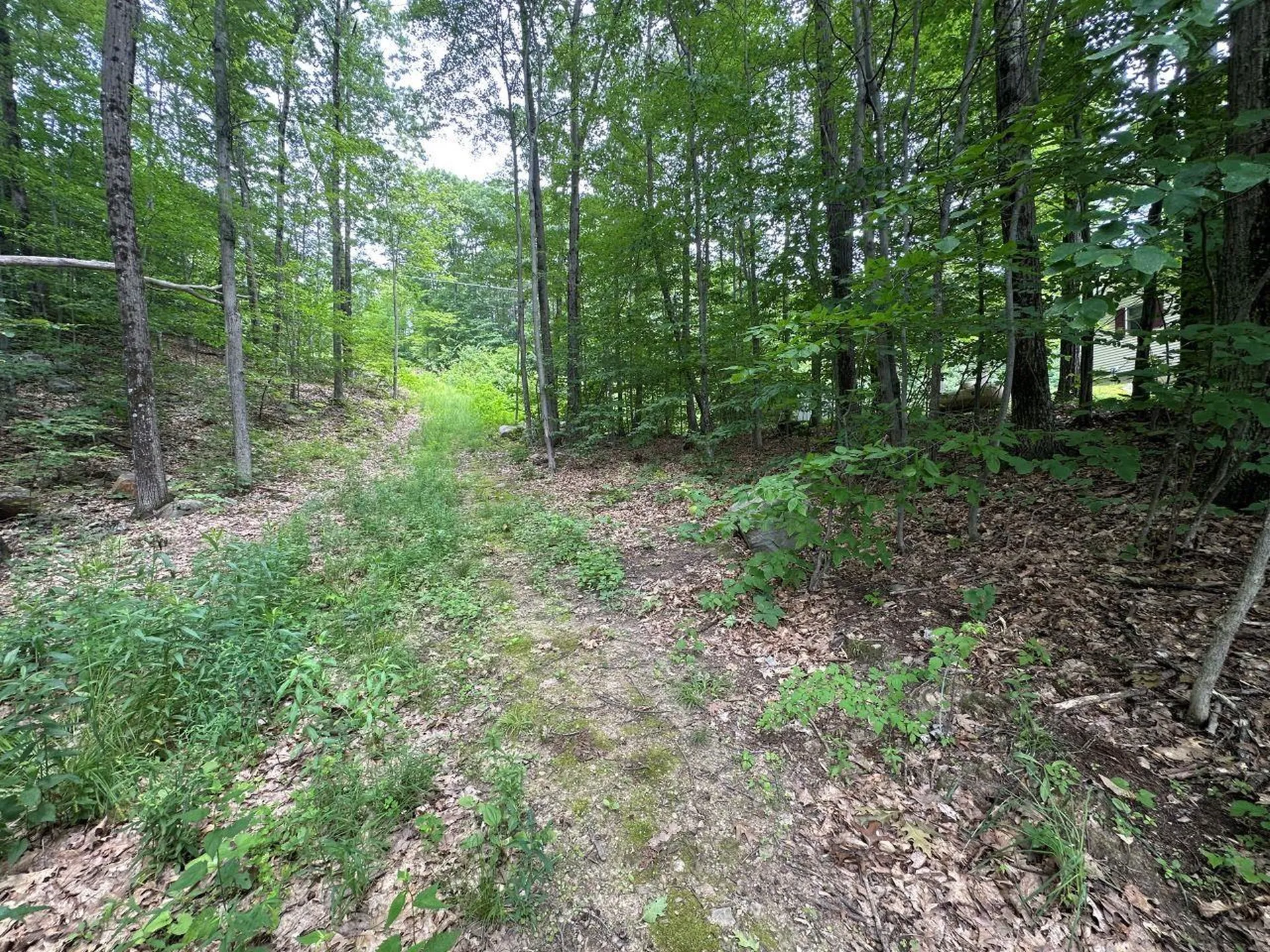 0 Shepherd Lane Rutland City VT 05701