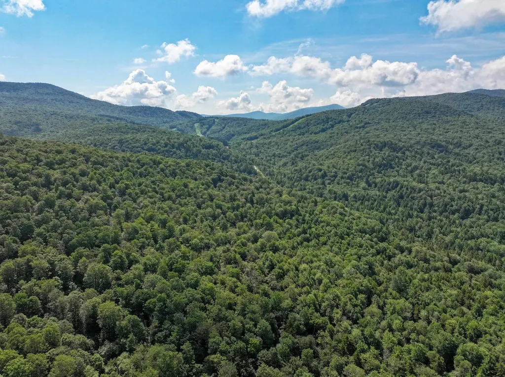 498 Scott Road Ripton VT 05766