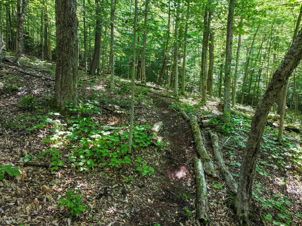 498 Scott Road Ripton VT 05766