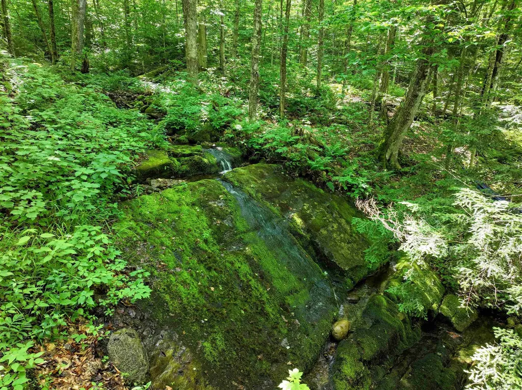 498 Scott Road Ripton VT 05766