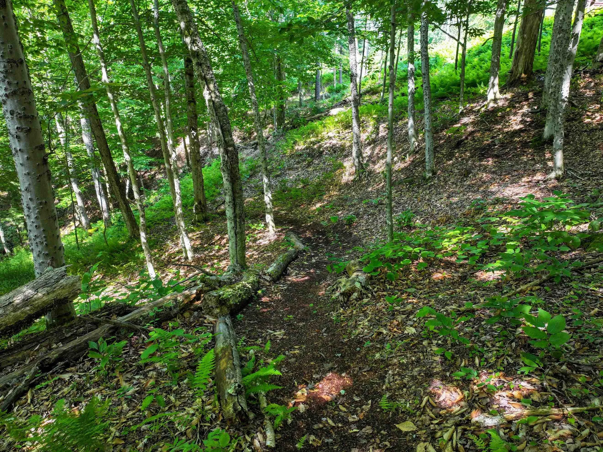 498 Scott Road Ripton VT 05766
