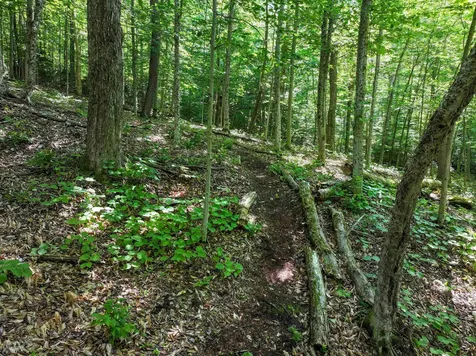 498 Scott Road Ripton VT 05766