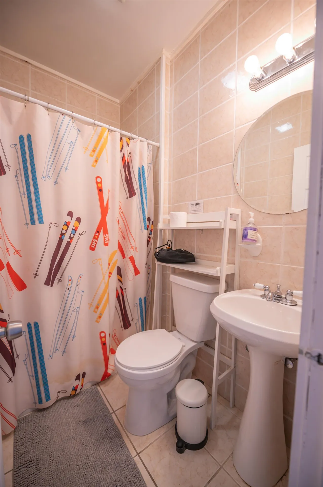 45 Blue Brook Road Dover VT 05356