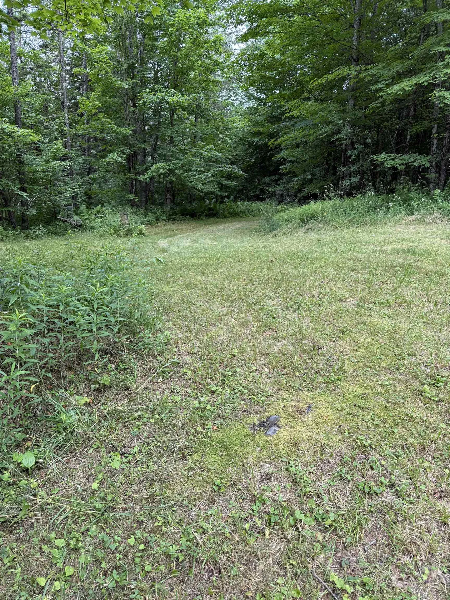 239 Small Road Brookfield VT 05036