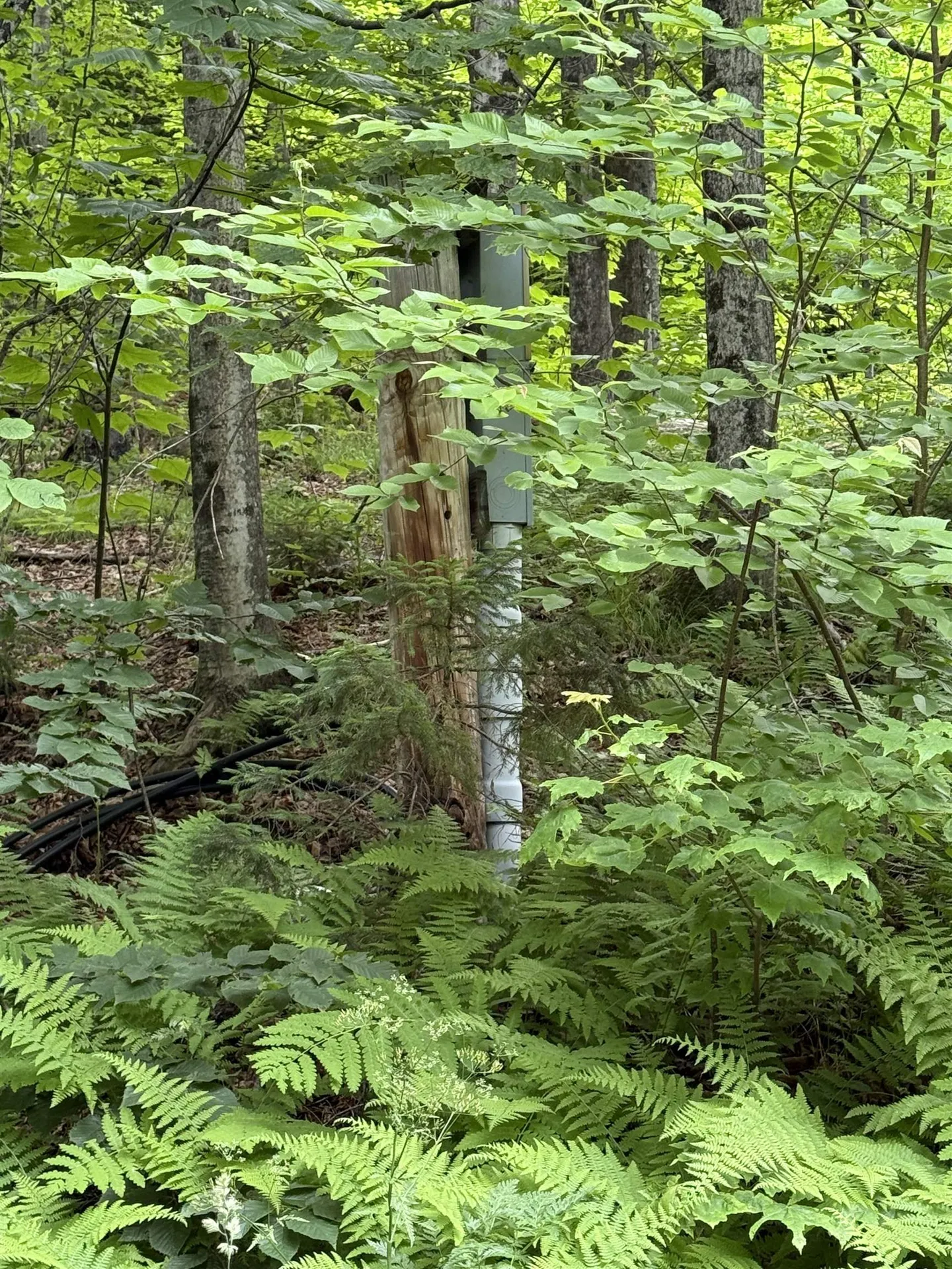 239 Small Road Brookfield VT 05036