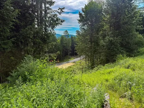 567 Sawnee Bean Road Thetford VT 05075