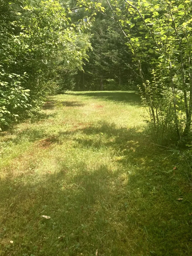 - Creek Road Albany VT 05820