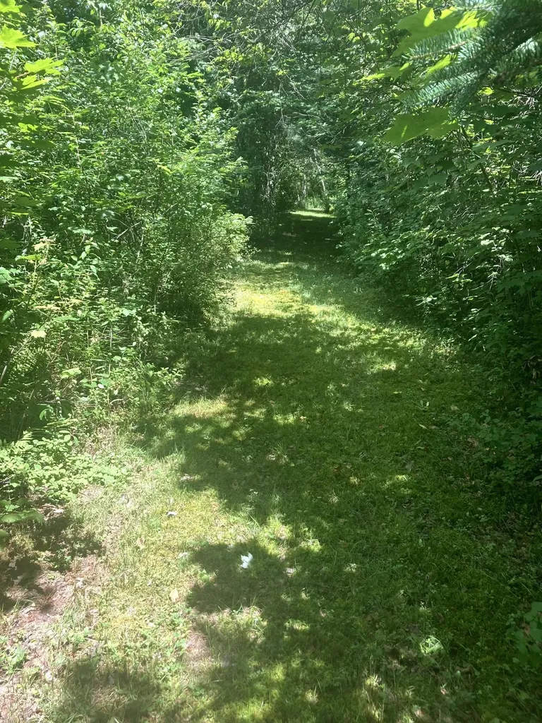 - Creek Road Albany VT 05820