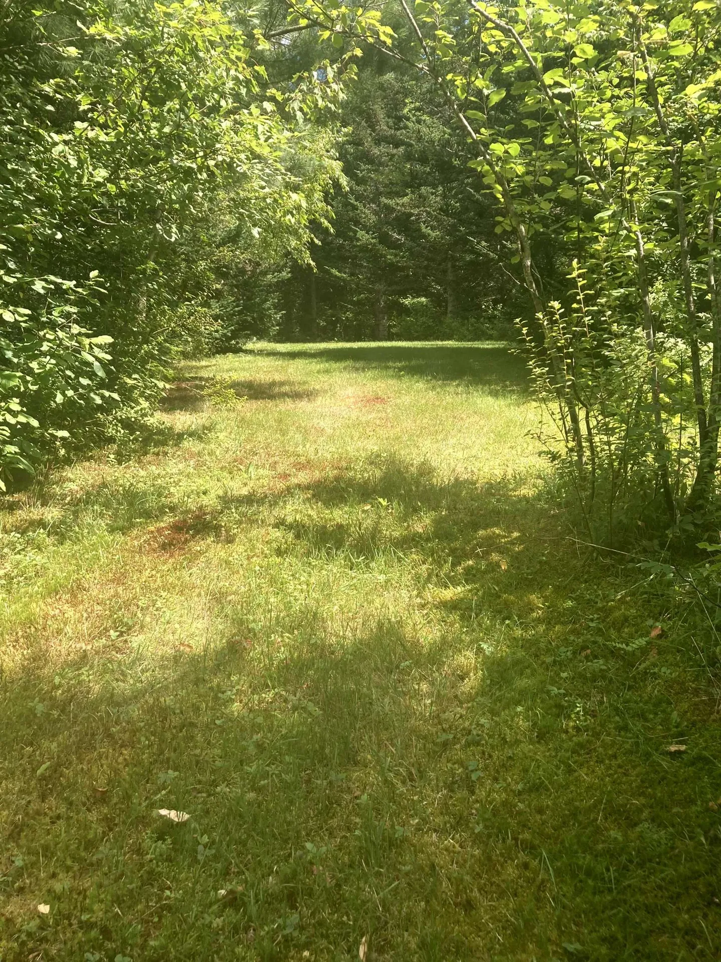 - Creek Road Albany VT 05820