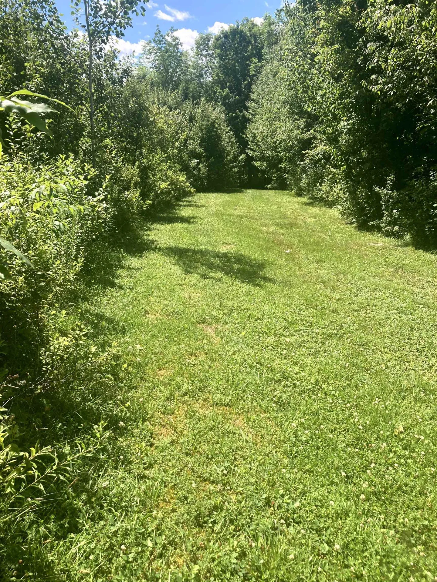 - Creek Road Albany VT 05820