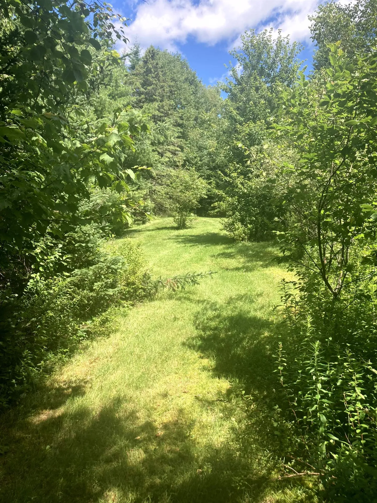 - Creek Road Albany VT 05820