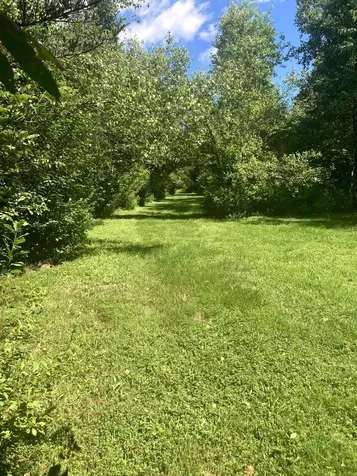 - Creek Road Albany VT 05820