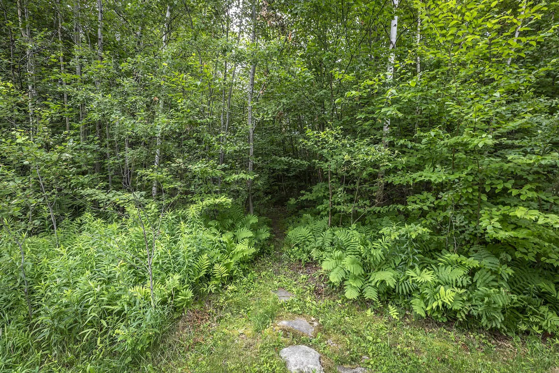 33 Jamie Lane Winhall VT 05340