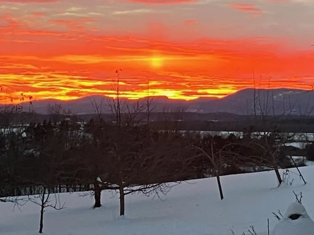 8498 Vt Route 22a Addison VT 05491