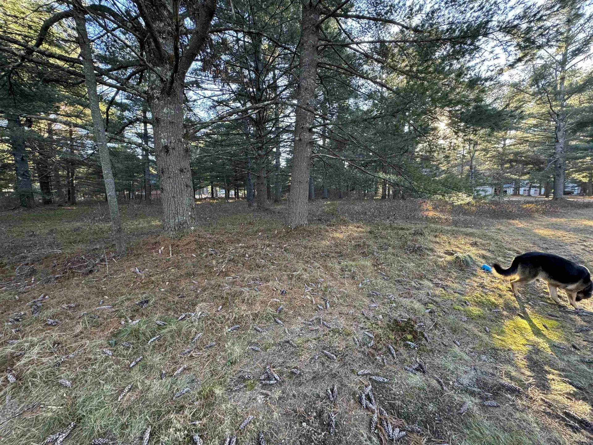 12 Logan Way Ossipee NH 03890