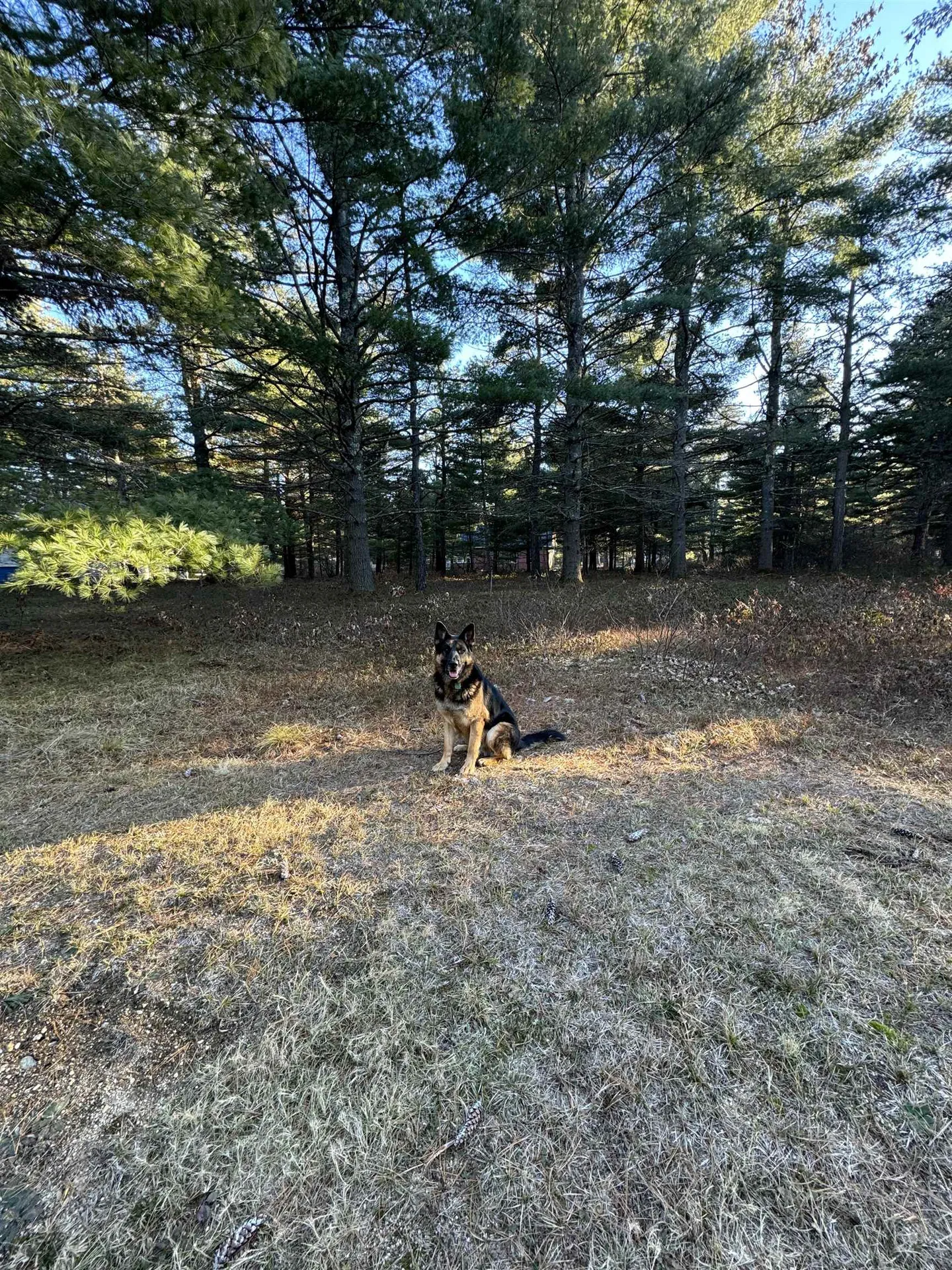 12 Logan Way Ossipee NH 03890