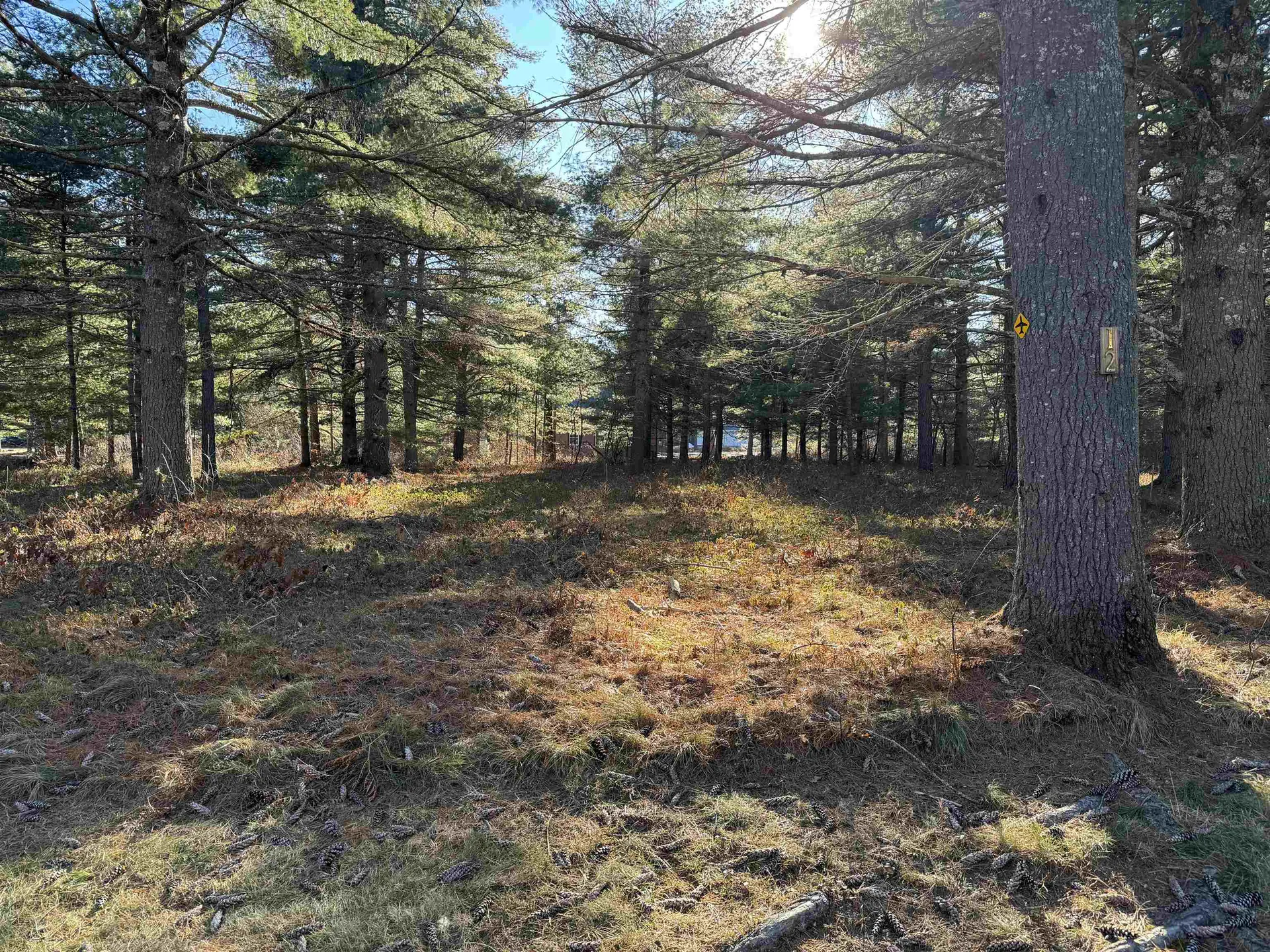 12 Logan Way Ossipee NH 03890