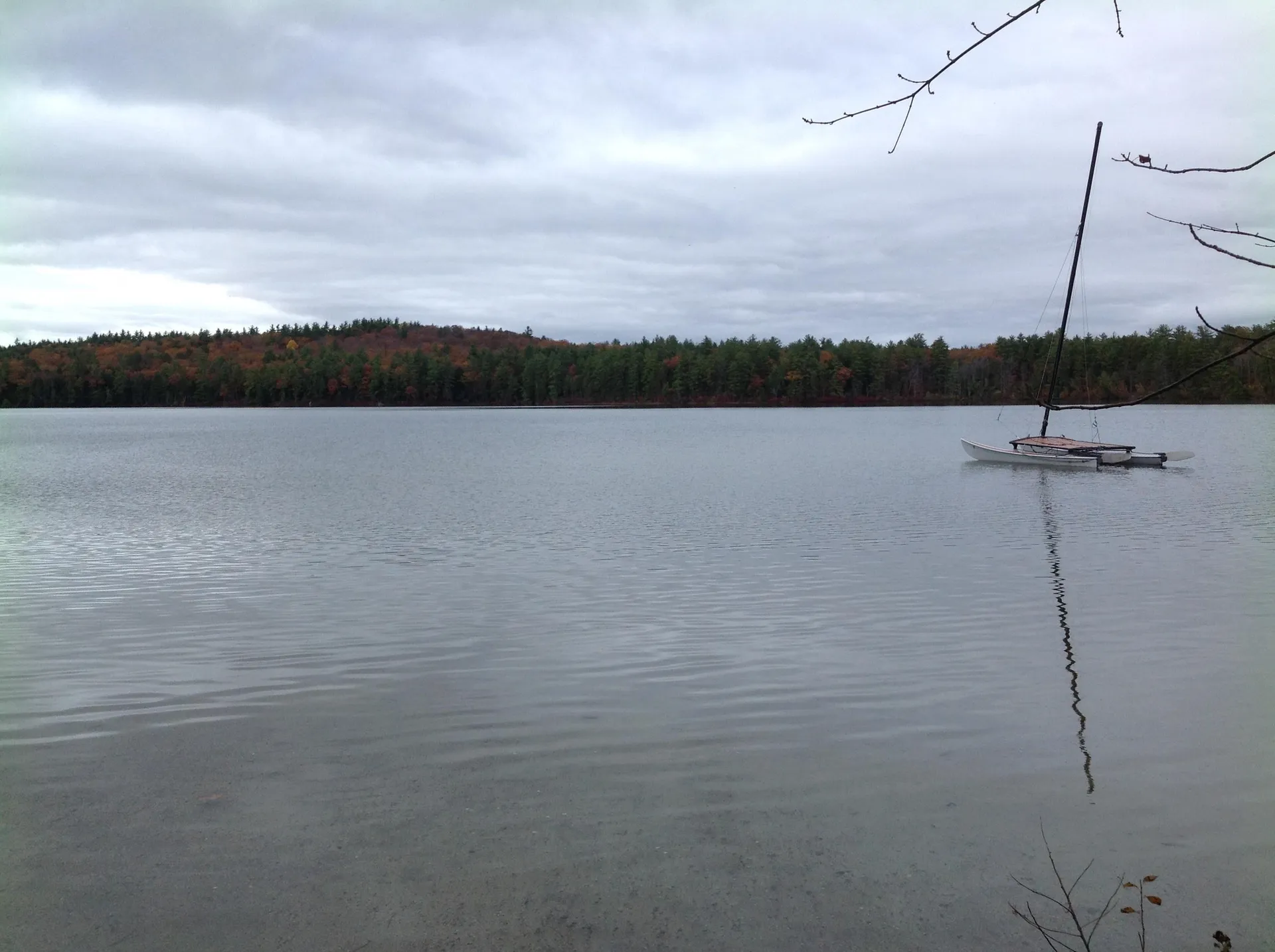 12 Logan Way Ossipee NH 03890