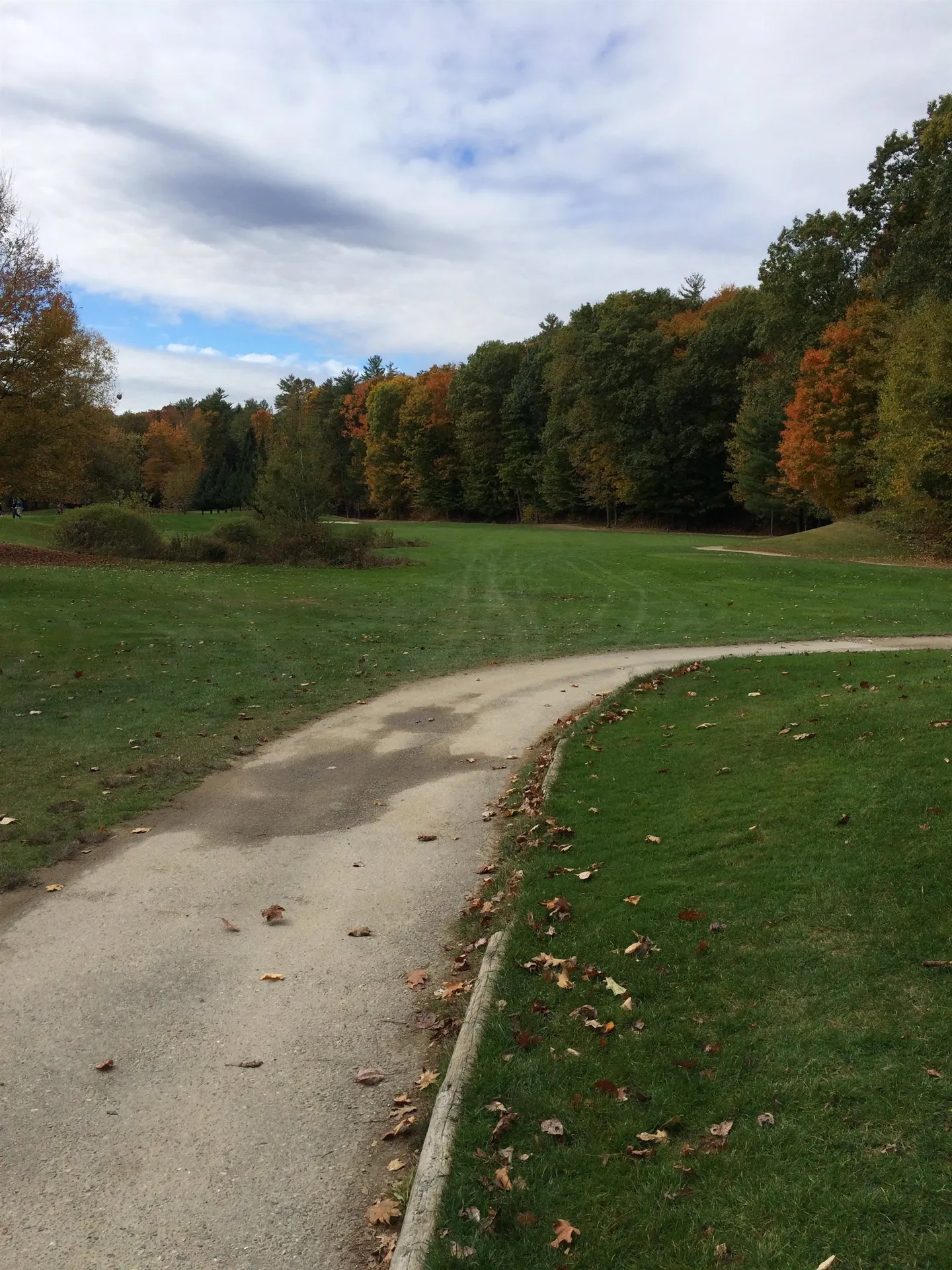 12 Logan Way Ossipee NH 03890