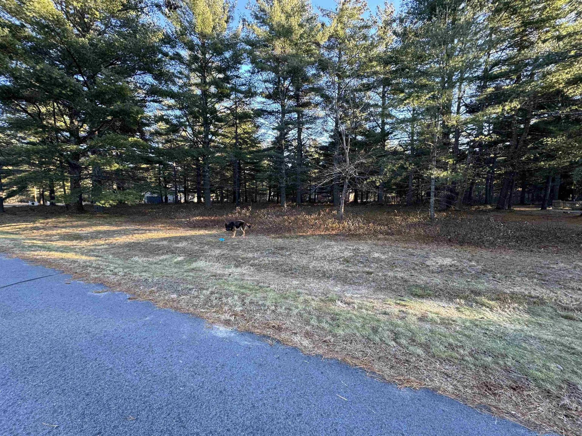 12 Logan Way Ossipee NH 03890