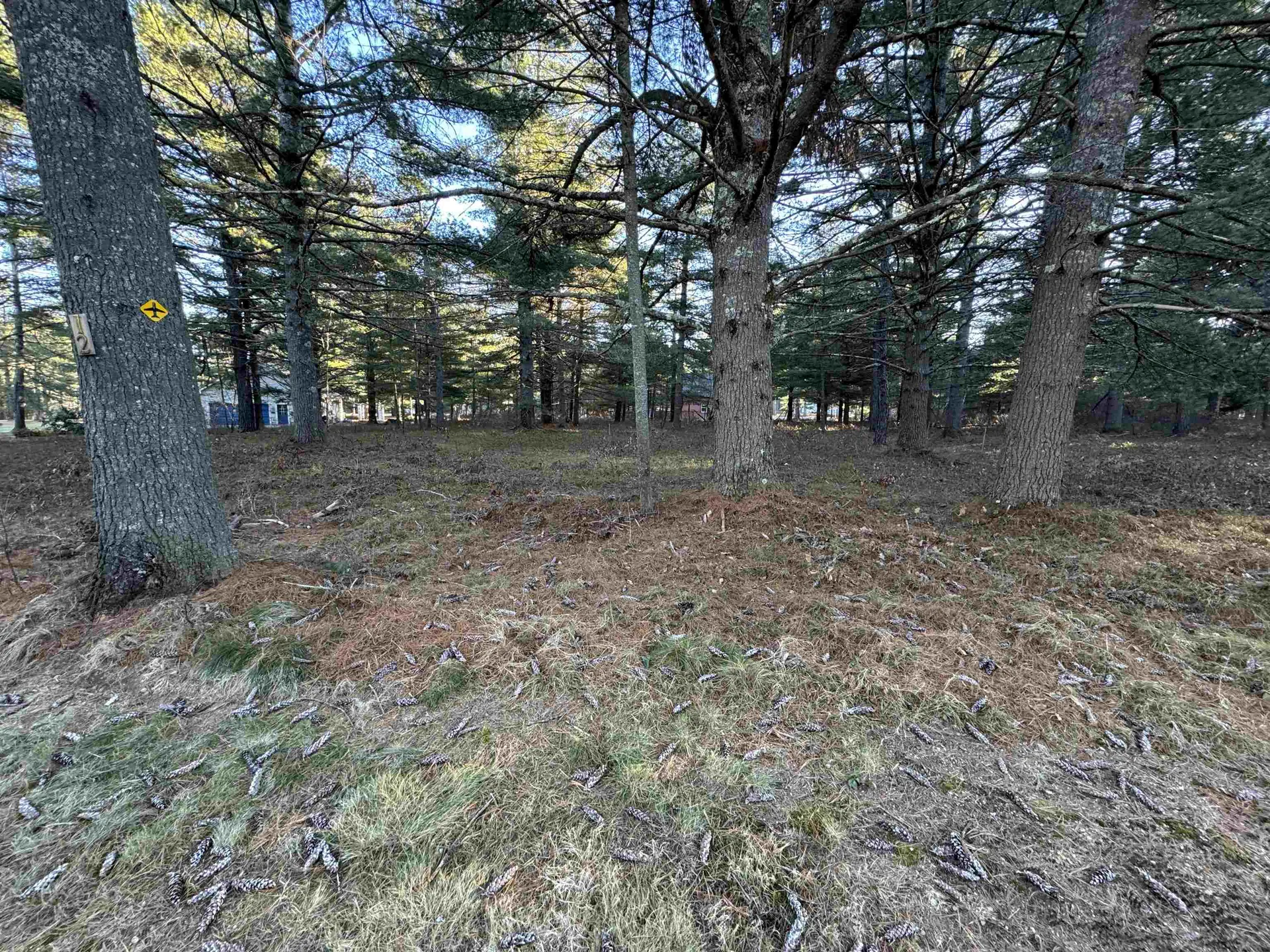 12 Logan Way Ossipee NH 03890