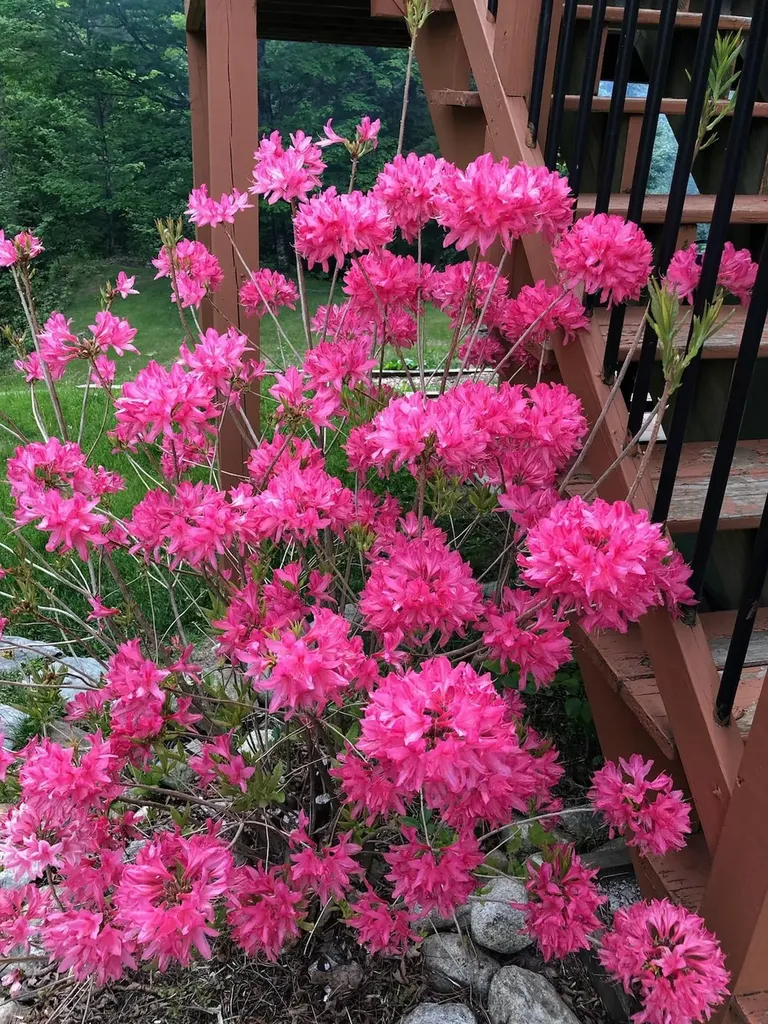 283 Wrights Mountain Road Bradford VT 05033