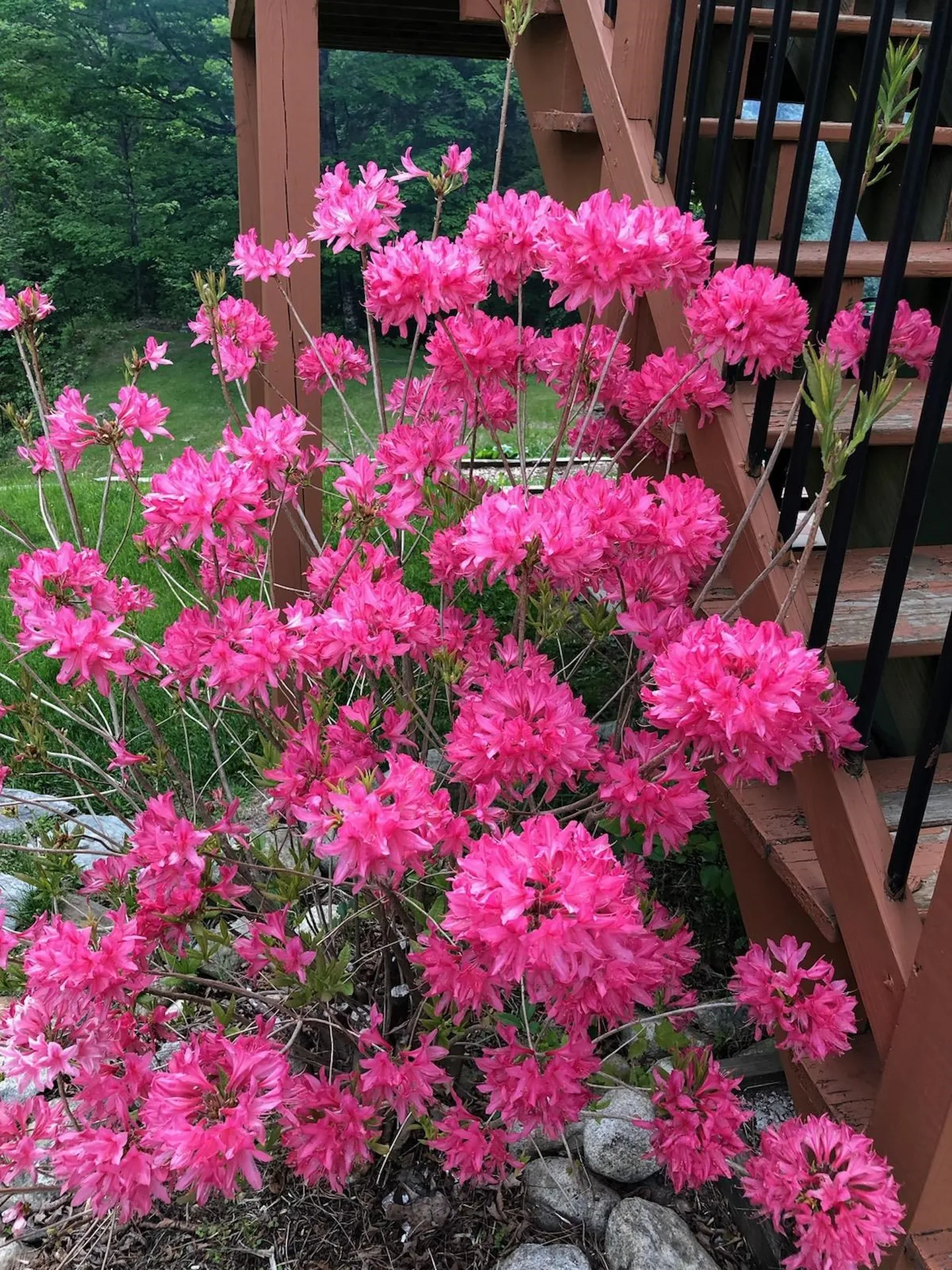 283 Wrights Mountain Road Bradford VT 05033