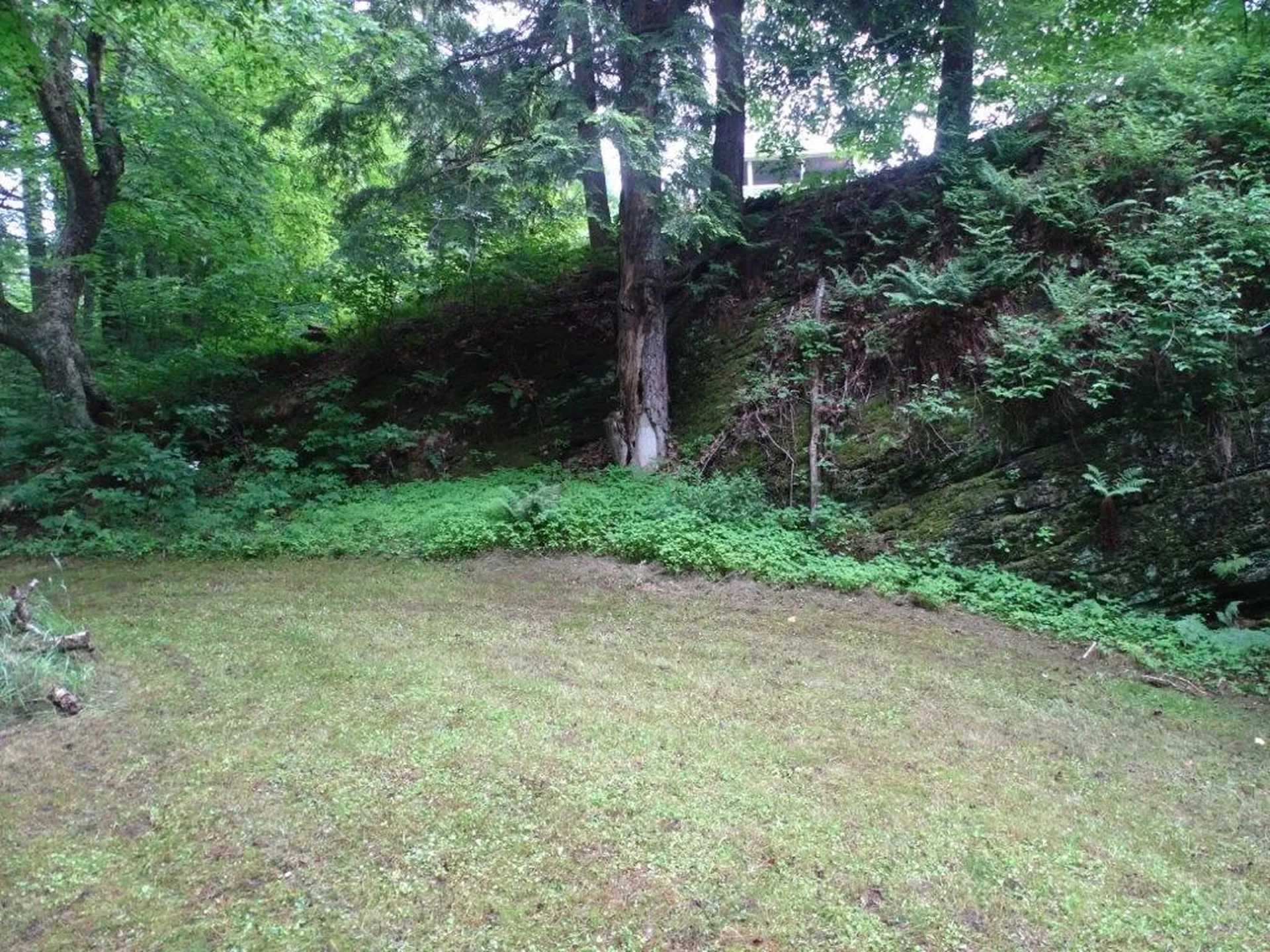 283 Wrights Mountain Road Bradford VT 05033