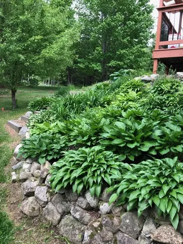 283 Wrights Mountain Road Bradford VT 05033