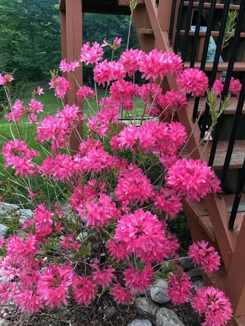 283 Wrights Mountain Road Bradford VT 05033