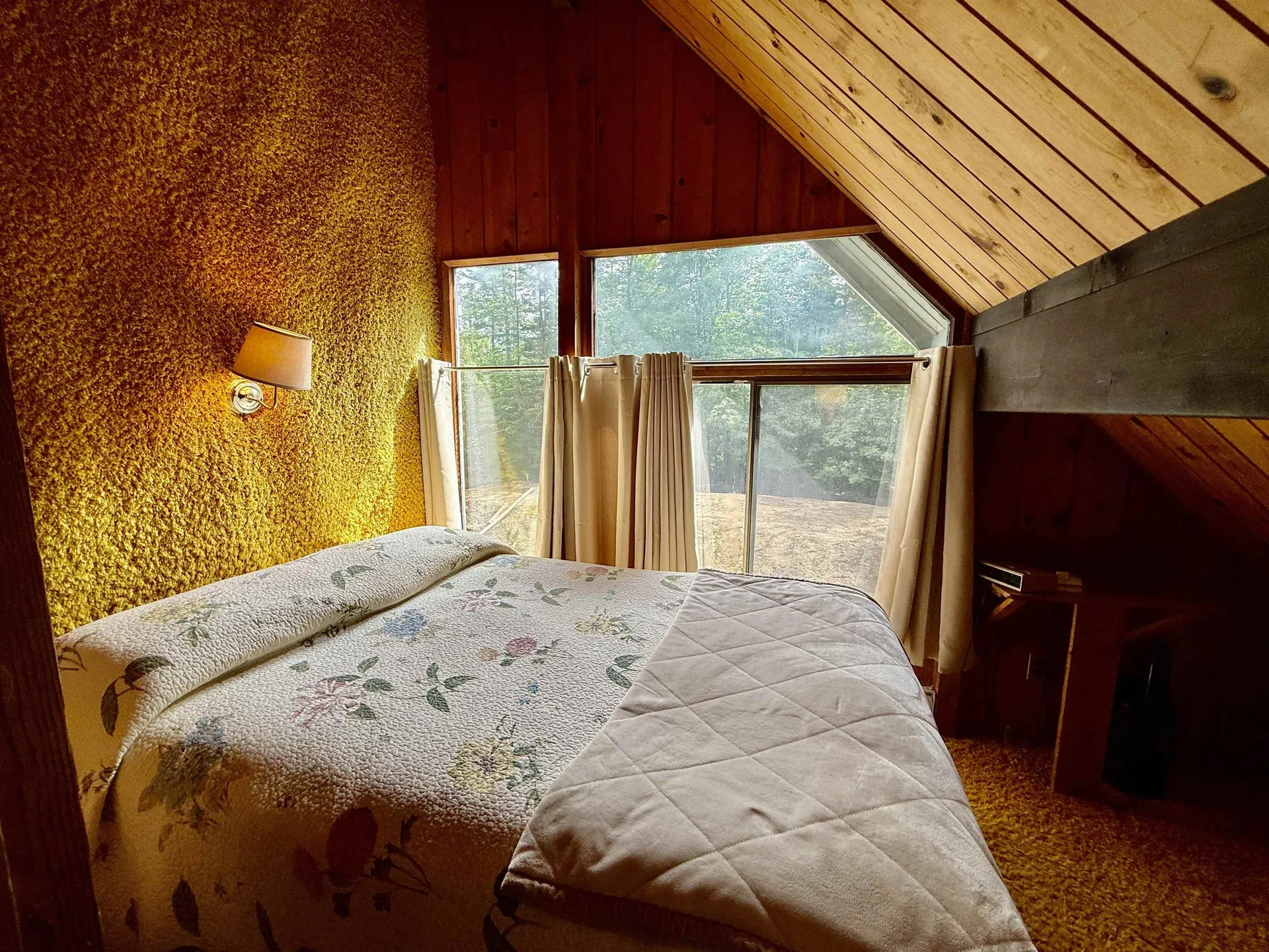 5 Blackberry Lane Dover VT 05356